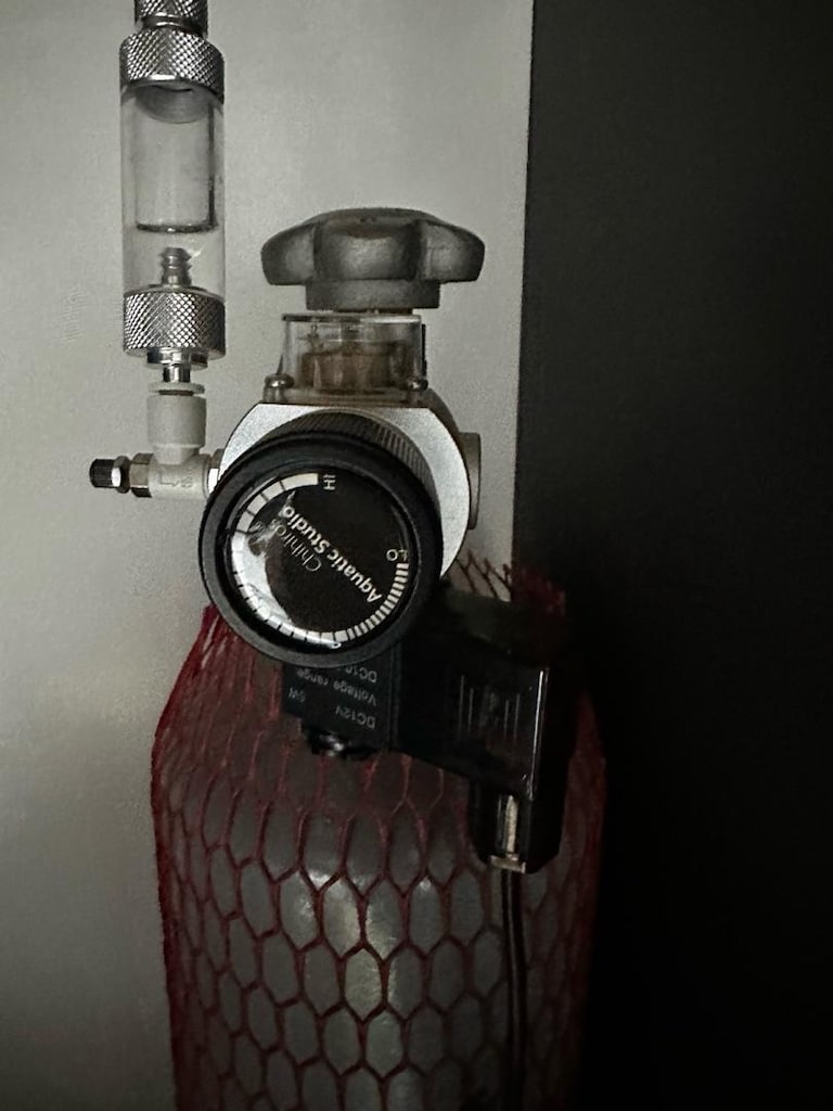 akvaryum dış filtre, chihiros marka regulator ve co2 tüp (5 kg) - 13