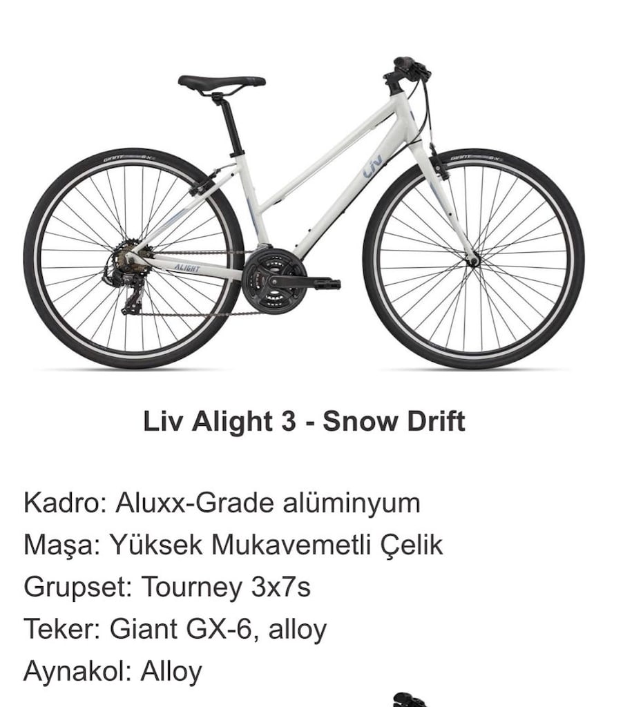 Giant Liv Alight 3 | Kadın Şehir Bisikleti
