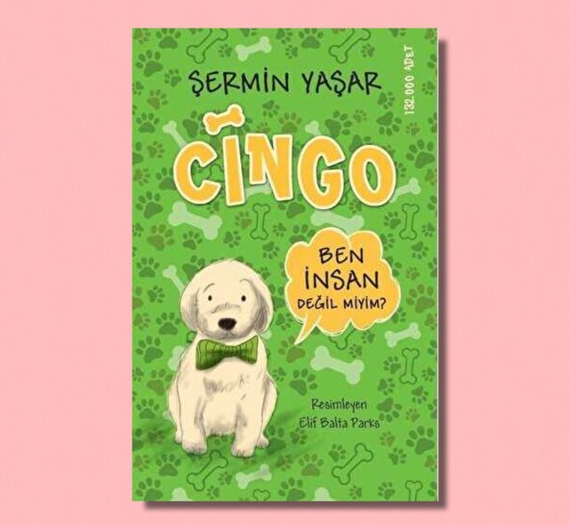 Cingo - Şermin Yaşar