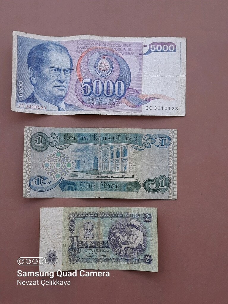 ESKİ TÜRK V YABANCI PARALAR (LÜTFEN AÇIKLAMAYI OKUYUNUZ) - 7