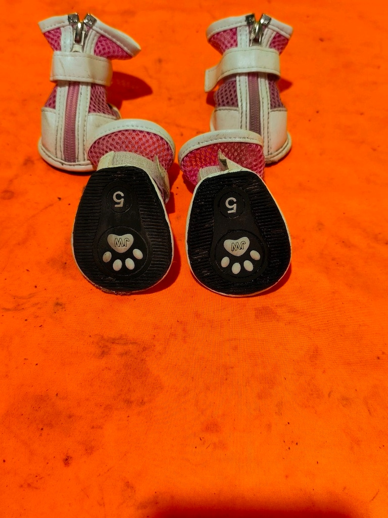 köpekler için ayakkabı patik - 4