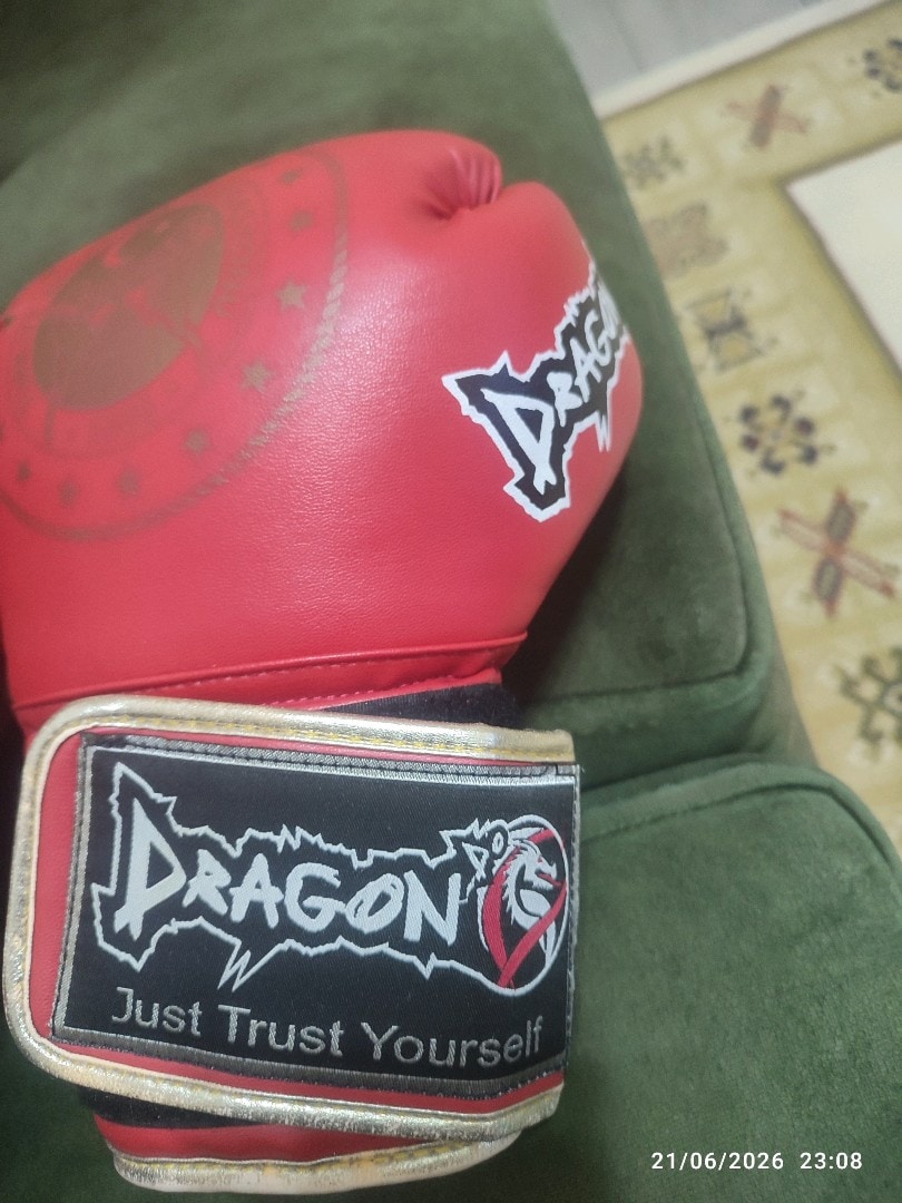 Dragon Boks Eldiveni - 2