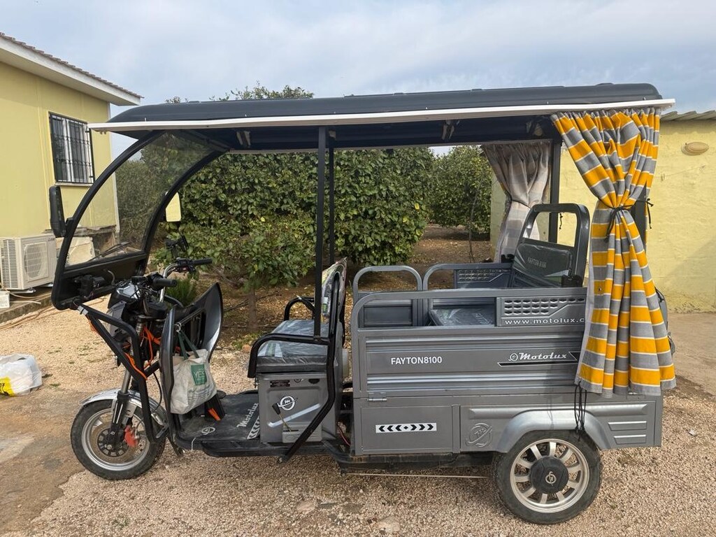 ELEKTRİKLİ FAYTON 8100 - 4