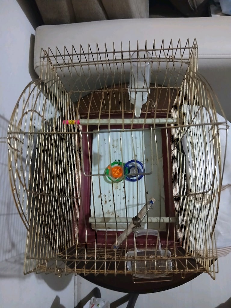 kuş kafesi - 5