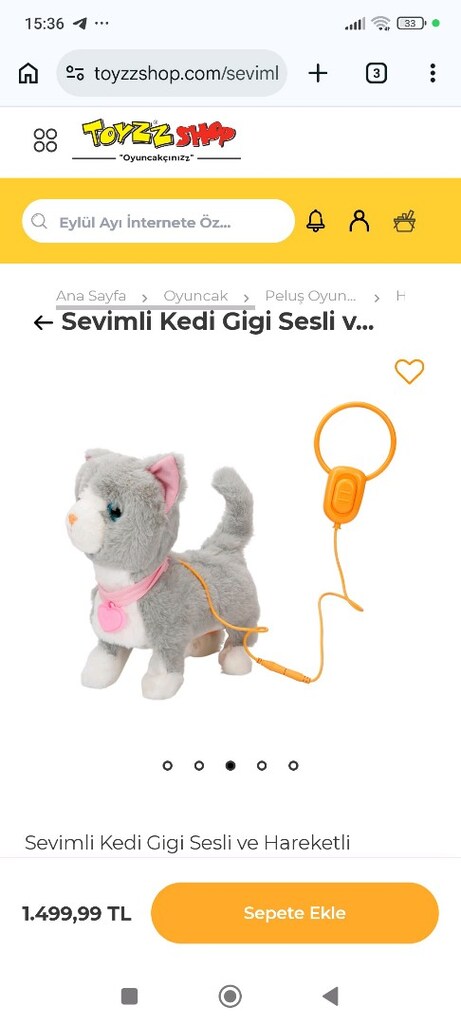 kedi sesli hareketli - 2