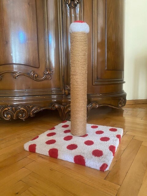 Kedi tırmalama tahtası