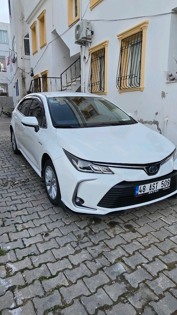 Toyota Corolla - 16