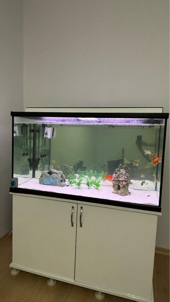 110x60x45 mobilyalı veya sadece akvaryum - 4