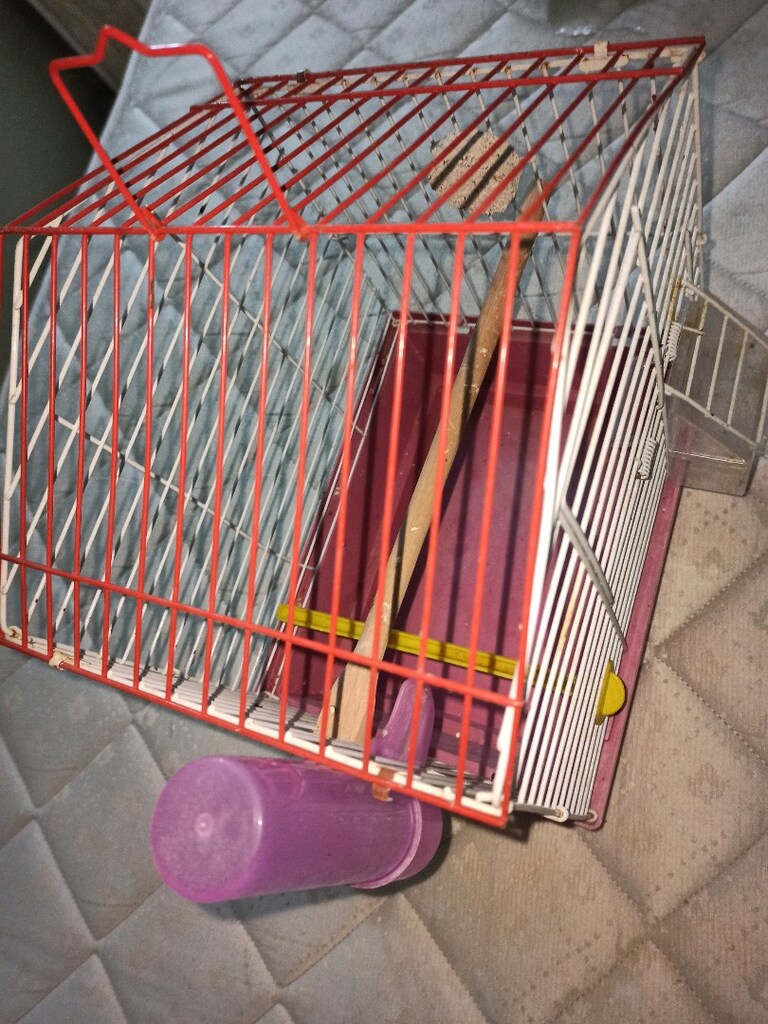 pembe renk - 2