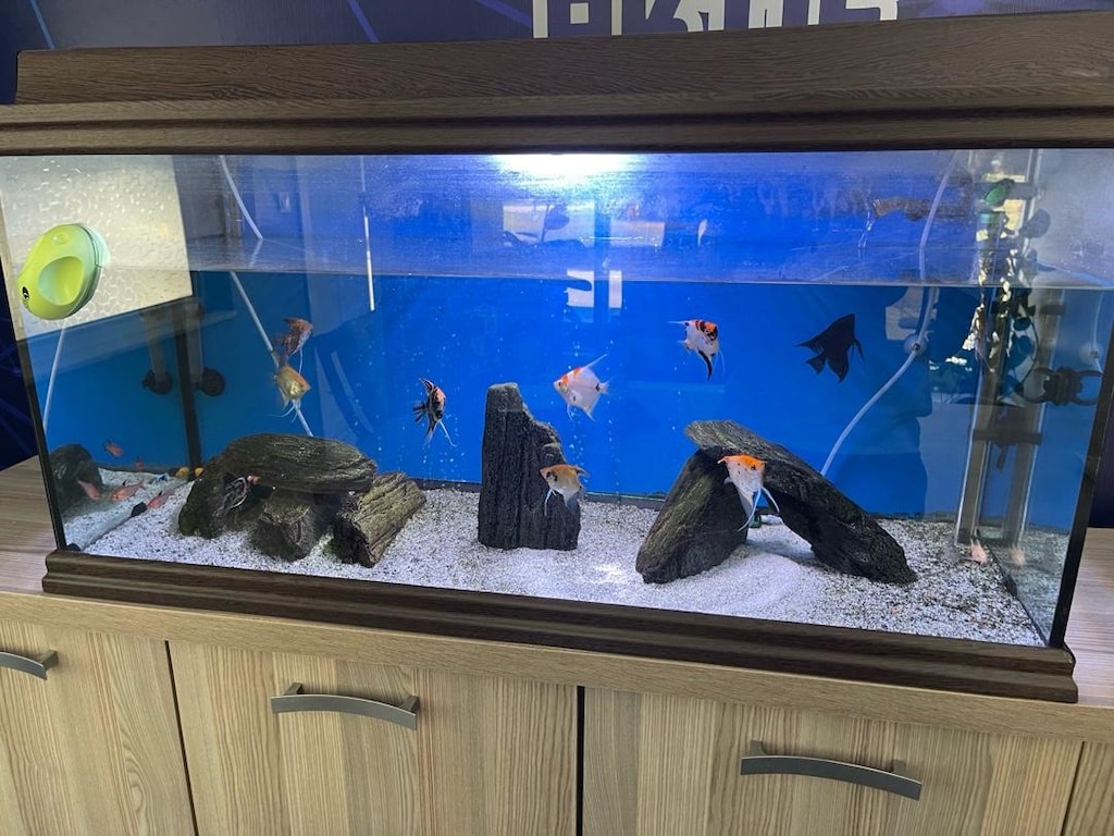 1 metre akvaryum - 3