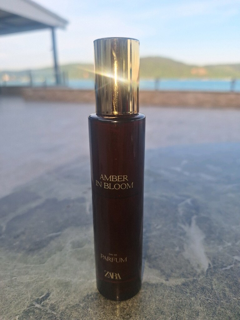 Acqua Di Gio Parfum (Orijinal) - 11