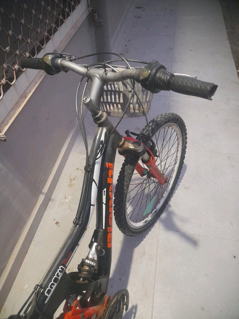 Bianchi bisiklet - 2