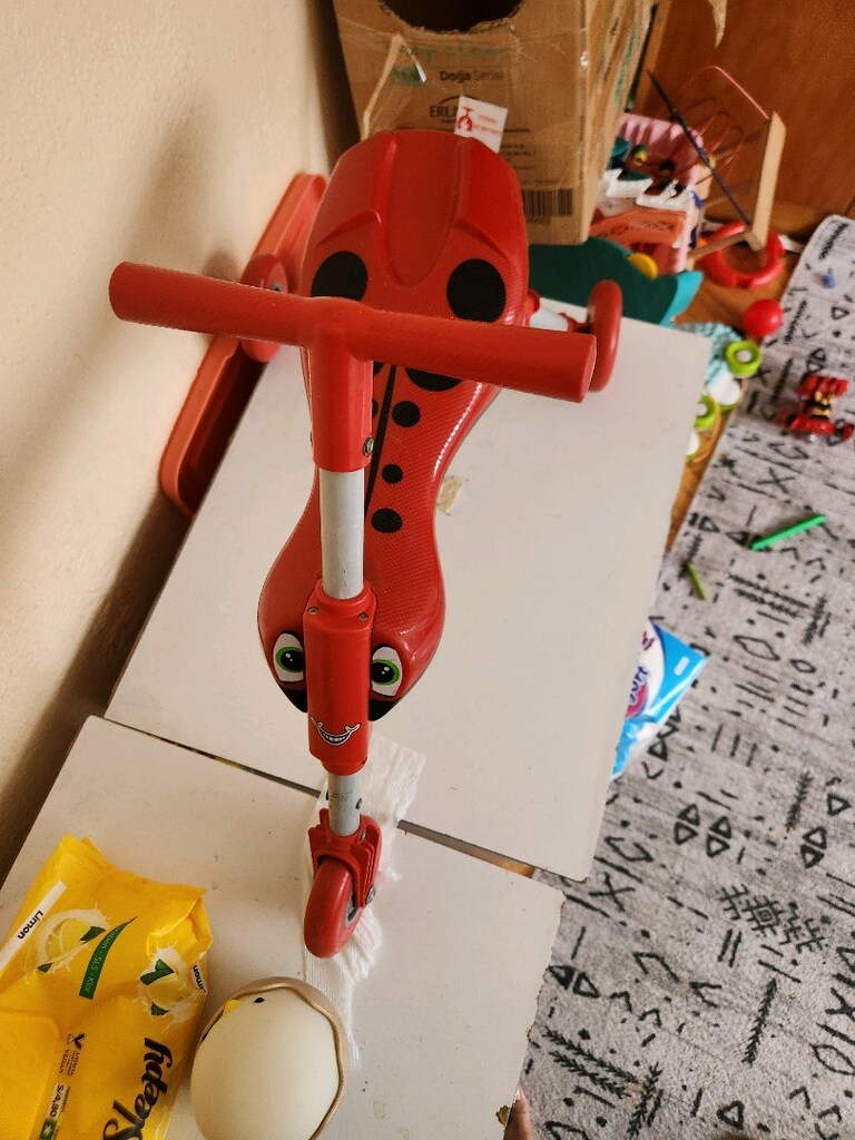denge bisikleti - 2