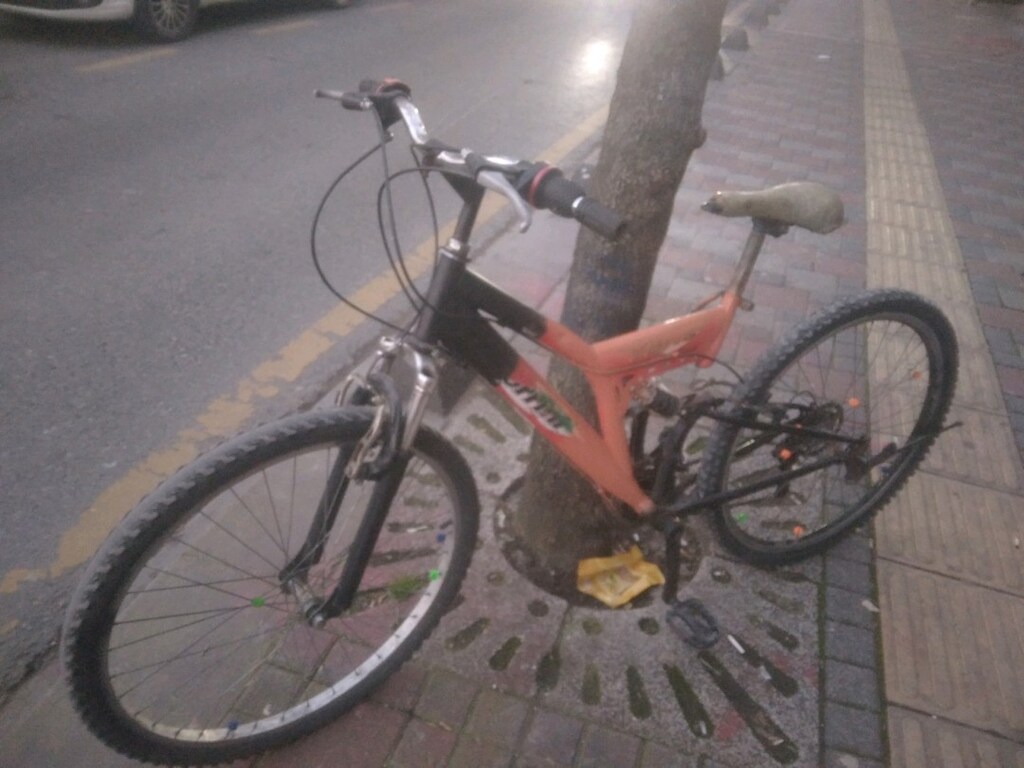 26 cant bisiklt temiz - 3