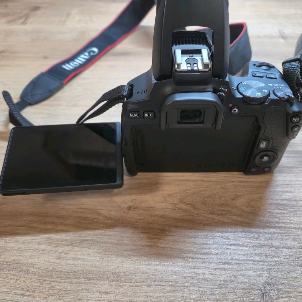 Canon EOS 250D + 18-55mm IS STM Lens - 10