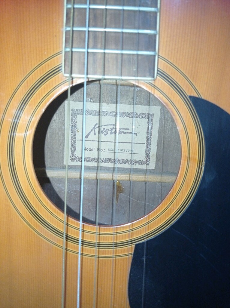 AKUSTİK ELEKTRO GİTAR - 9