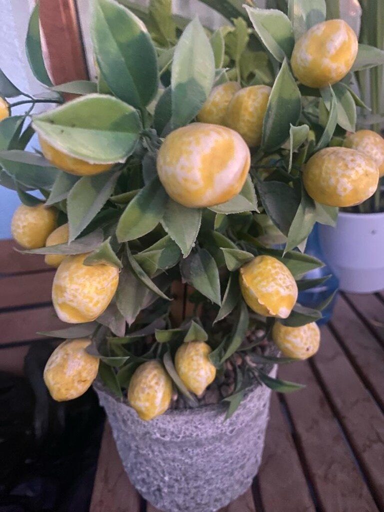 yapay limon agacı - 2
