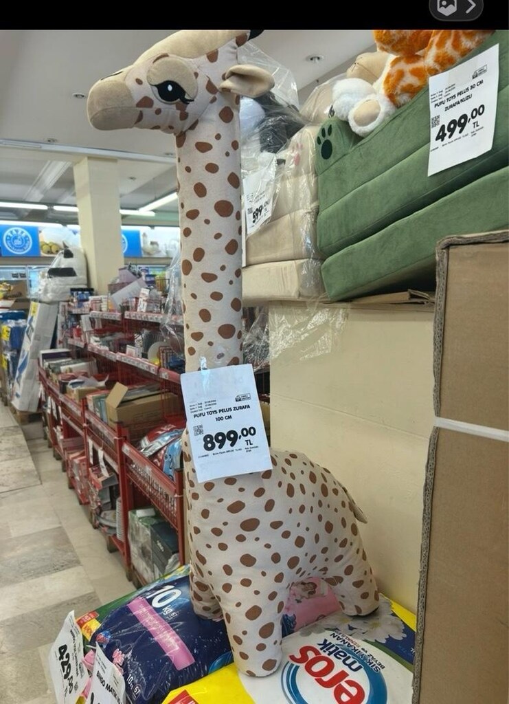 yeni alınmış oyuncak zürafa - 8