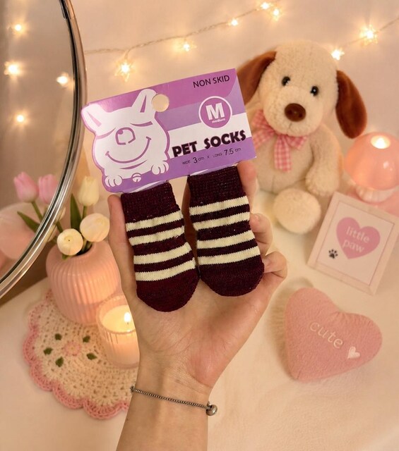 Köpek Çorabı