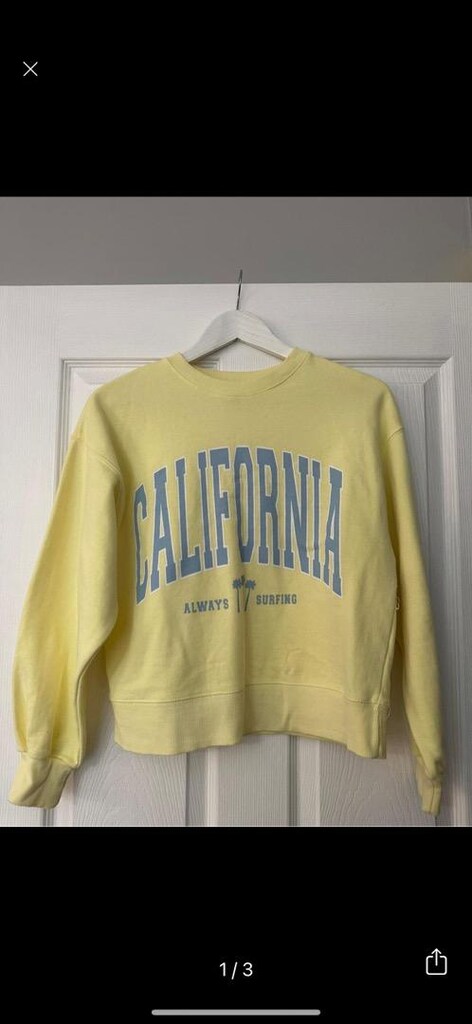 Zara sweatshirt