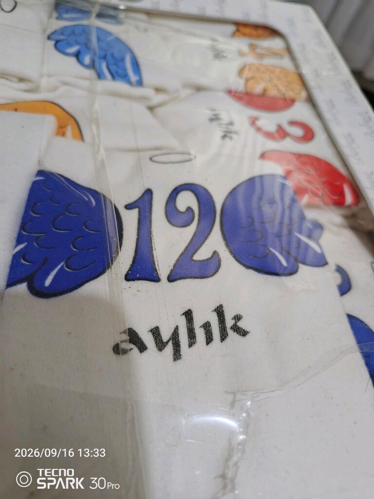 Bebek aylık zıbın - 2