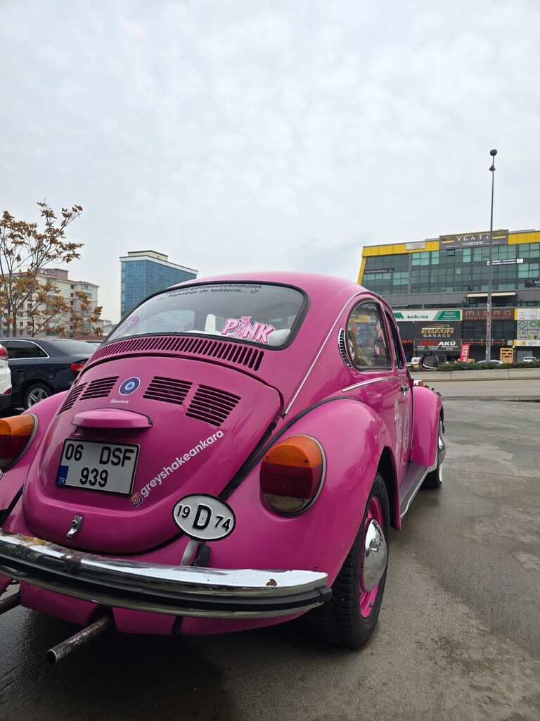 1974 MODEL WOS WOS İLGİDEN SIKILACAKSIN - 5