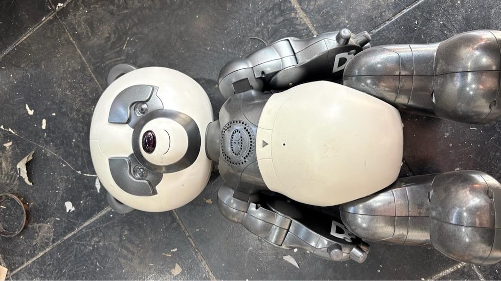 robot ayıcım - 2