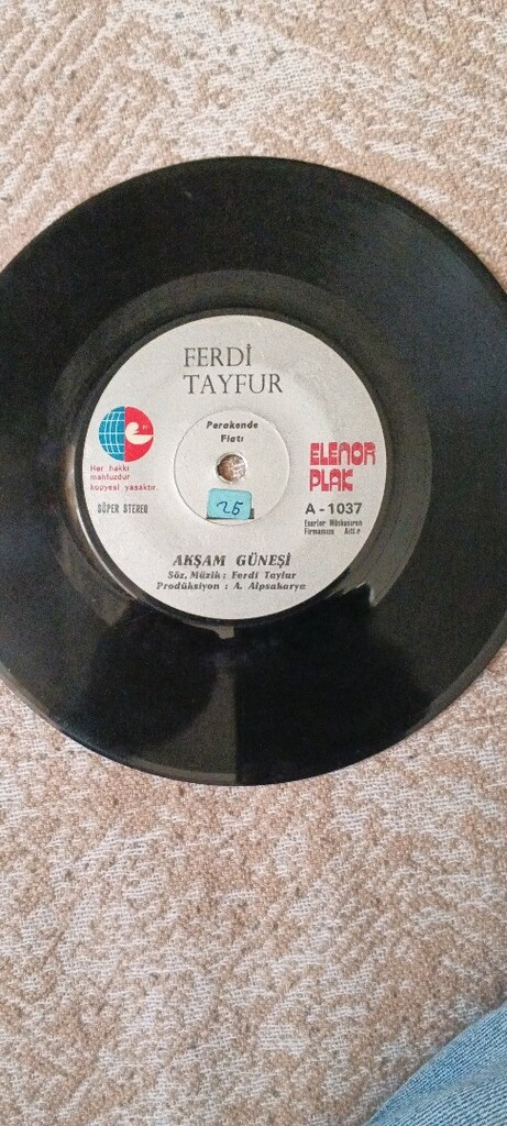 FERDİ TAYFUR AKŞAM GÜNEŞİ - 2