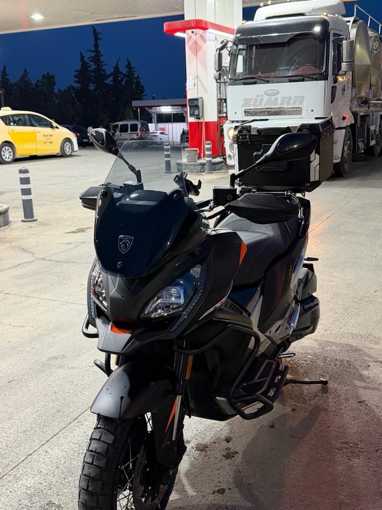 Tertemiz Cadde Boğası Satılık - 3