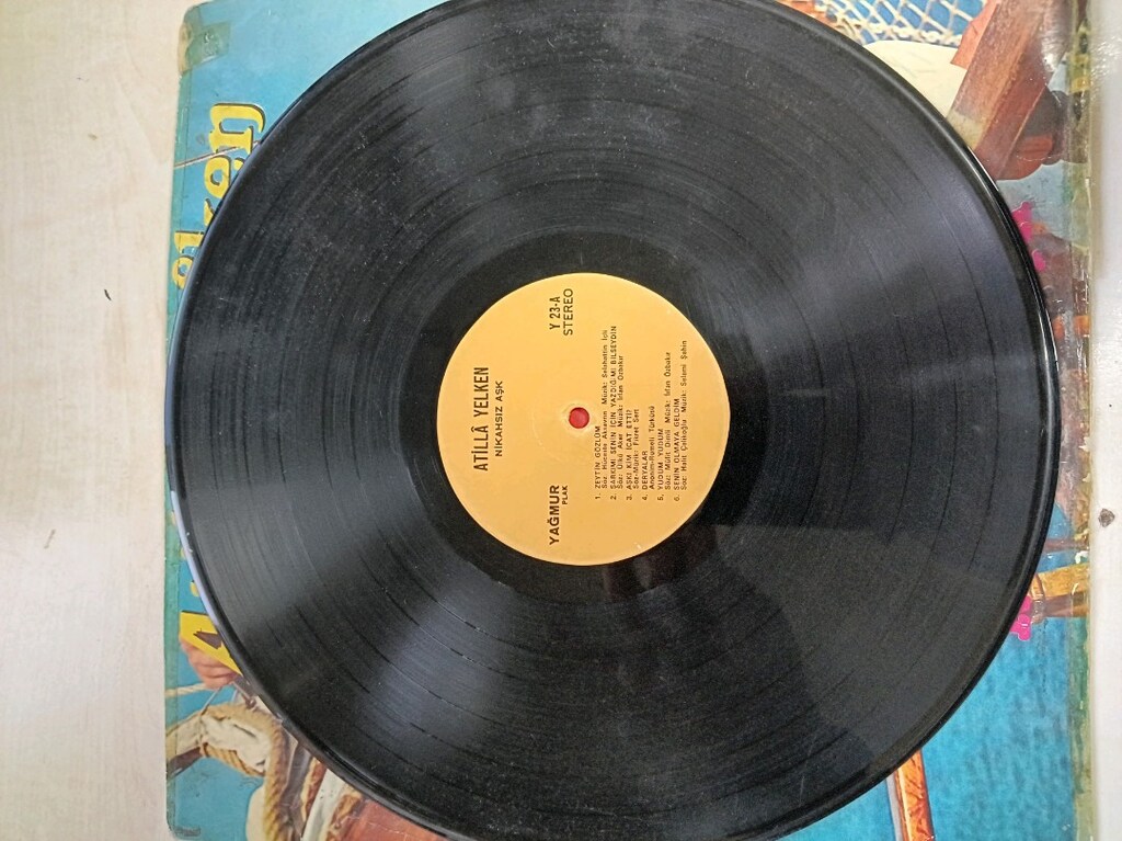 Plak 1979 yapımı - 4