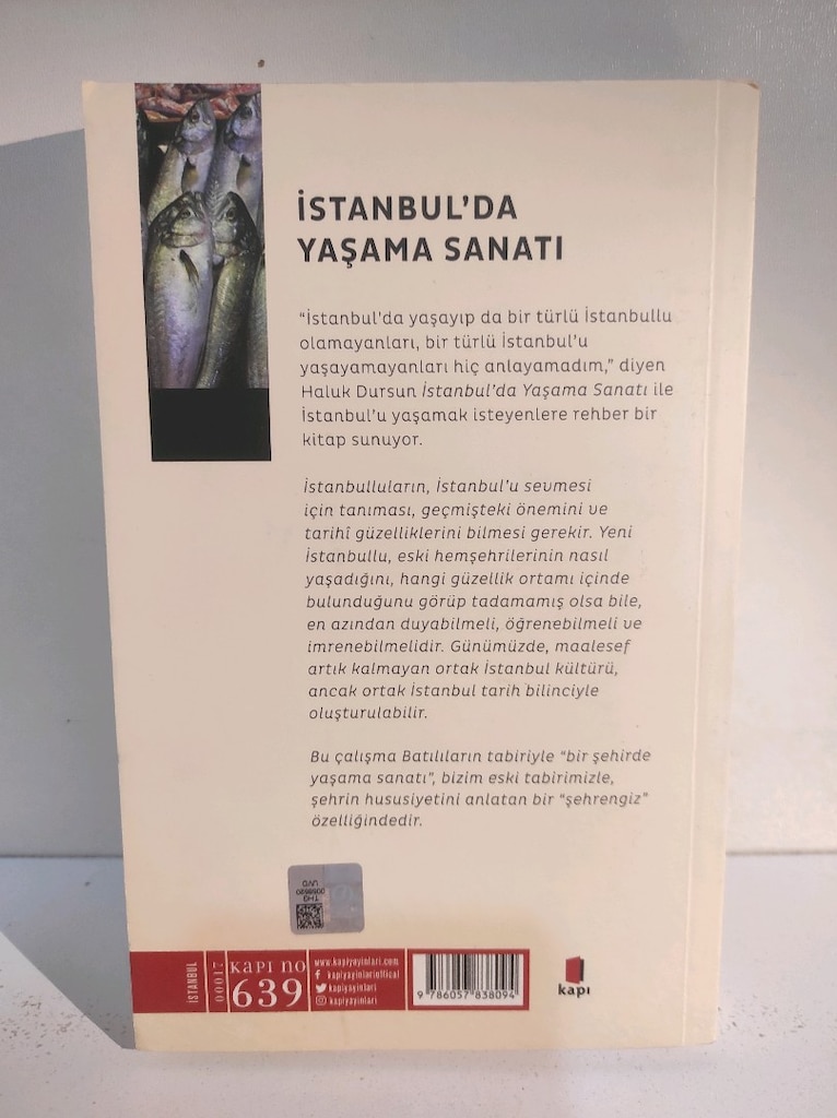 İstanbul'da Yaşama Sanatı Haluk Dursun - 3