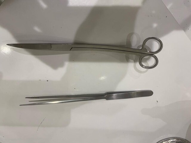 akvaryum çelik bitki maşası ve makası dalga şekilli 25 cm balık hobby