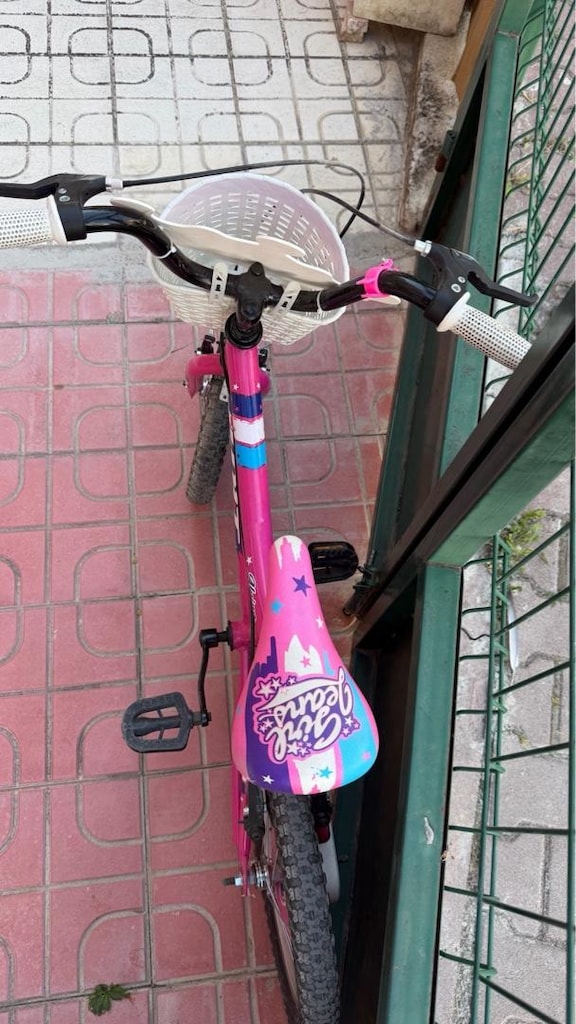 Ümit Alpina Kız Çocuk Bisikleti 16 Jant Pembe - 4