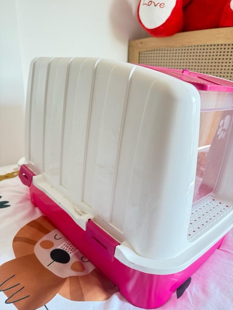 Kedi Tuvaleti - 2