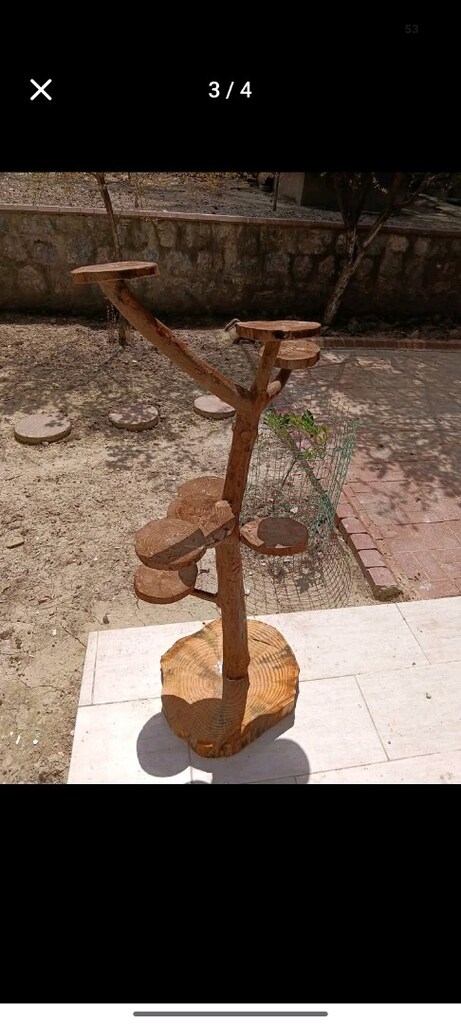 çiçeklik - 4