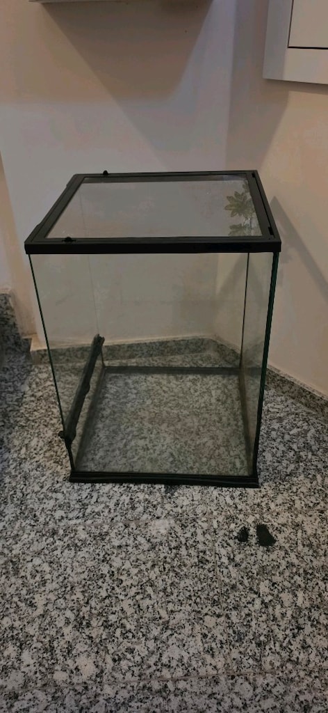 cam teraryum - 2