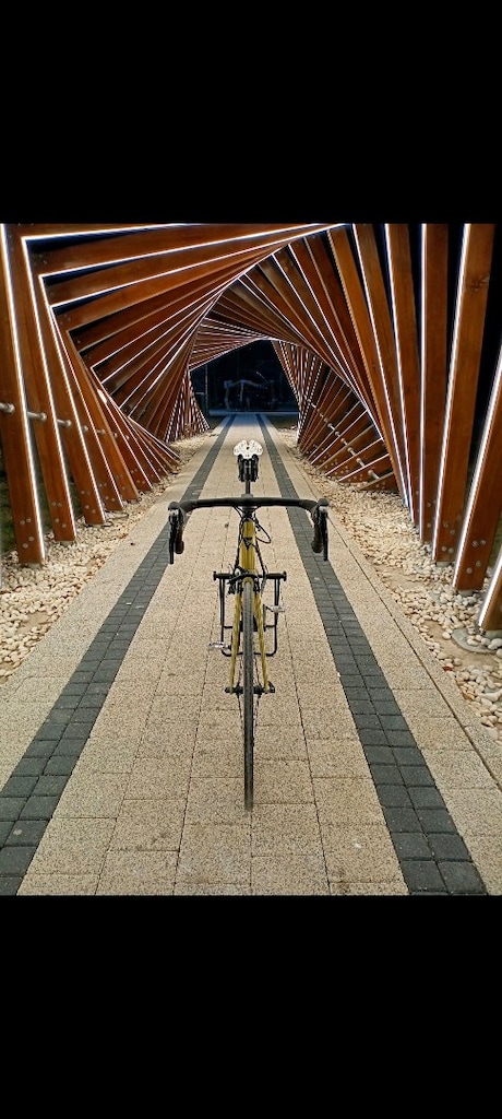 Giant TCR Karbon Yarış Bisikleti #bisiklet - 8
