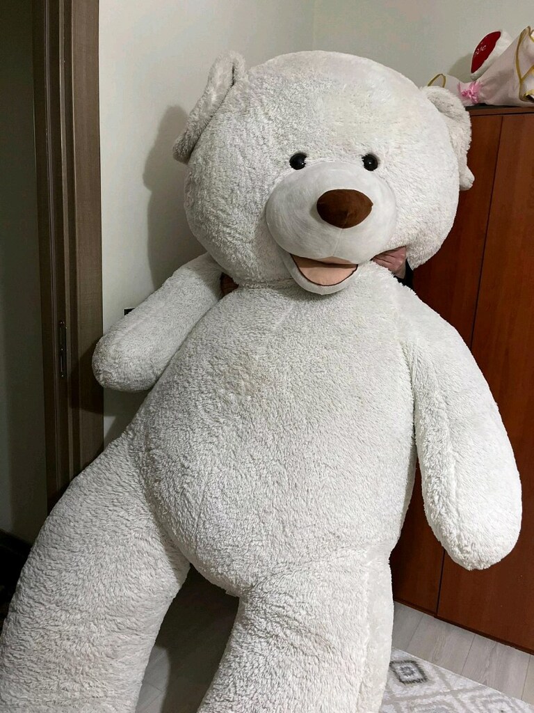 180 cm dev ayı - 4