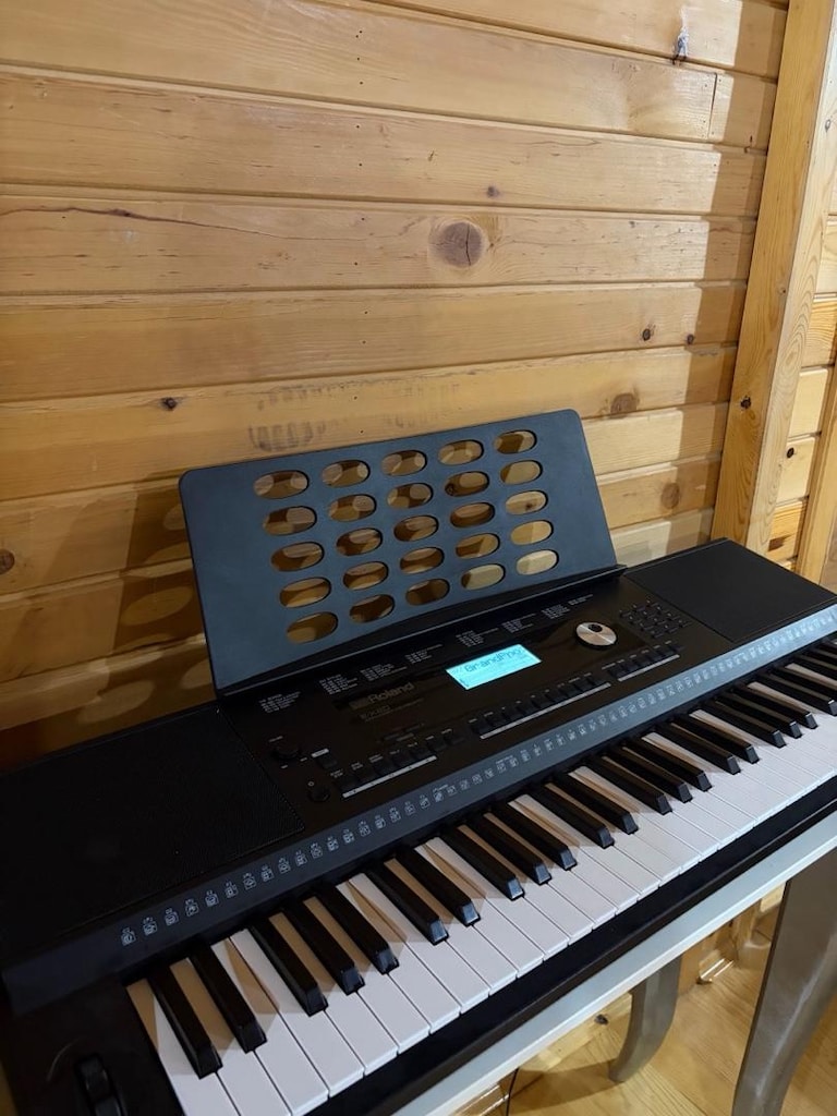 Roland Ex-20 Org Tuş Hassasiyetli Sıfır - 2