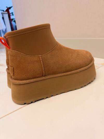 ugg dipper bot