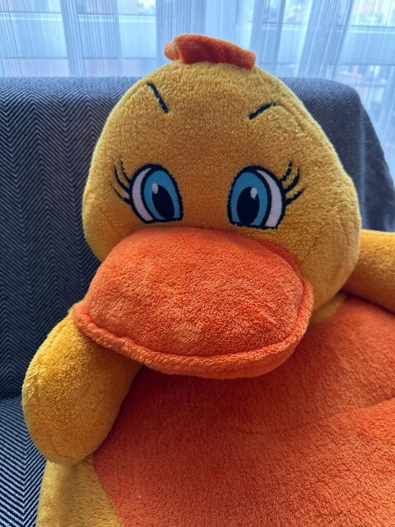 Hayvan / Ördek figürlü bebek / çocuk koltuğu Minder - 3