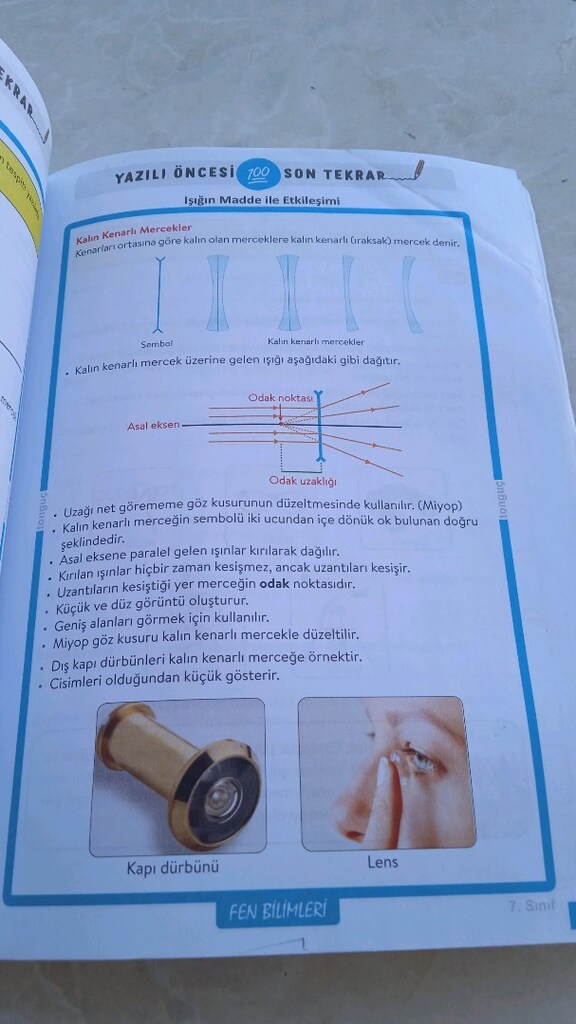 2 dönem yazılı notları 7 sınıf Tonguç - 6