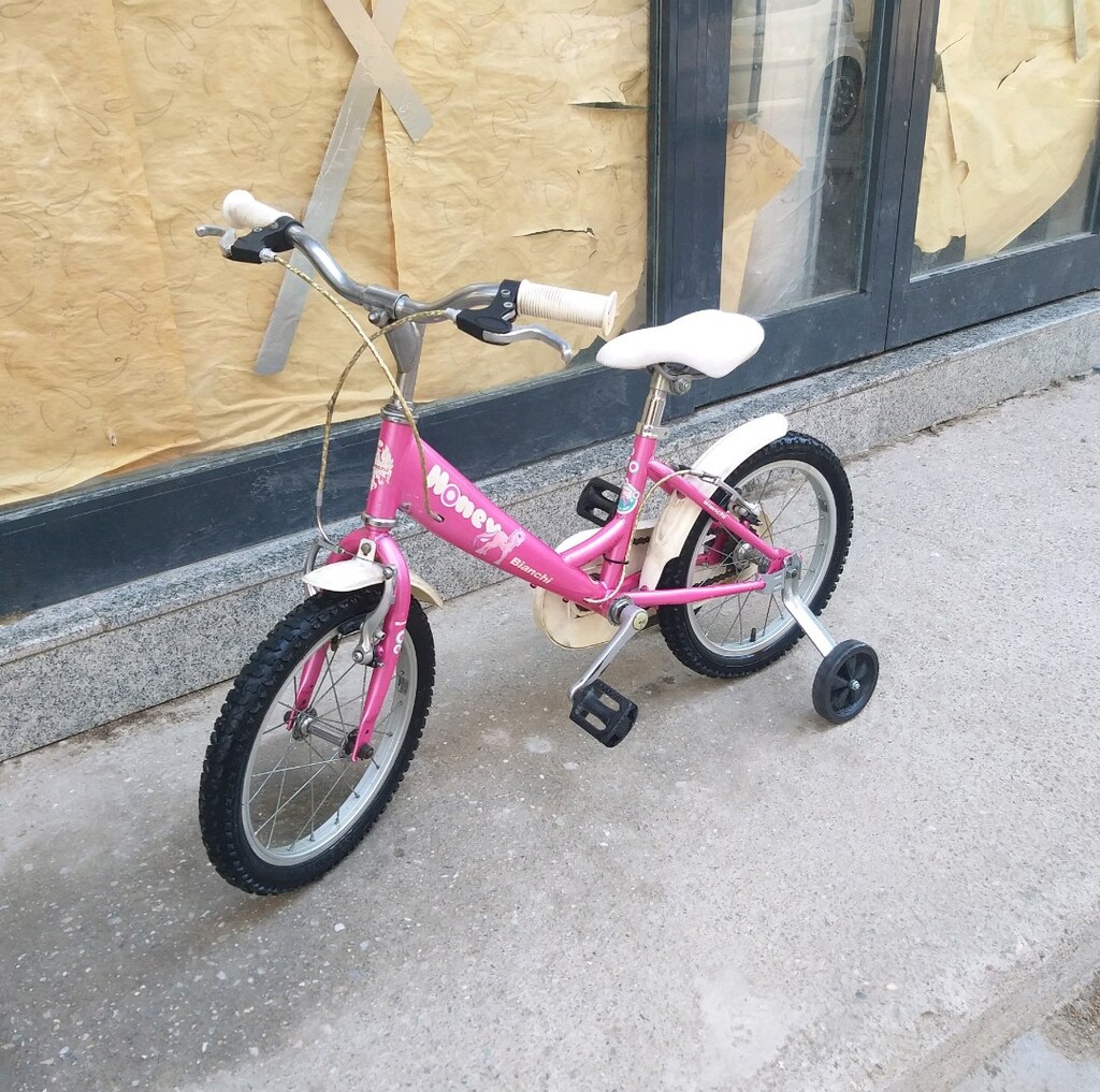 Bianchi kız çocuk bisikleti - 2