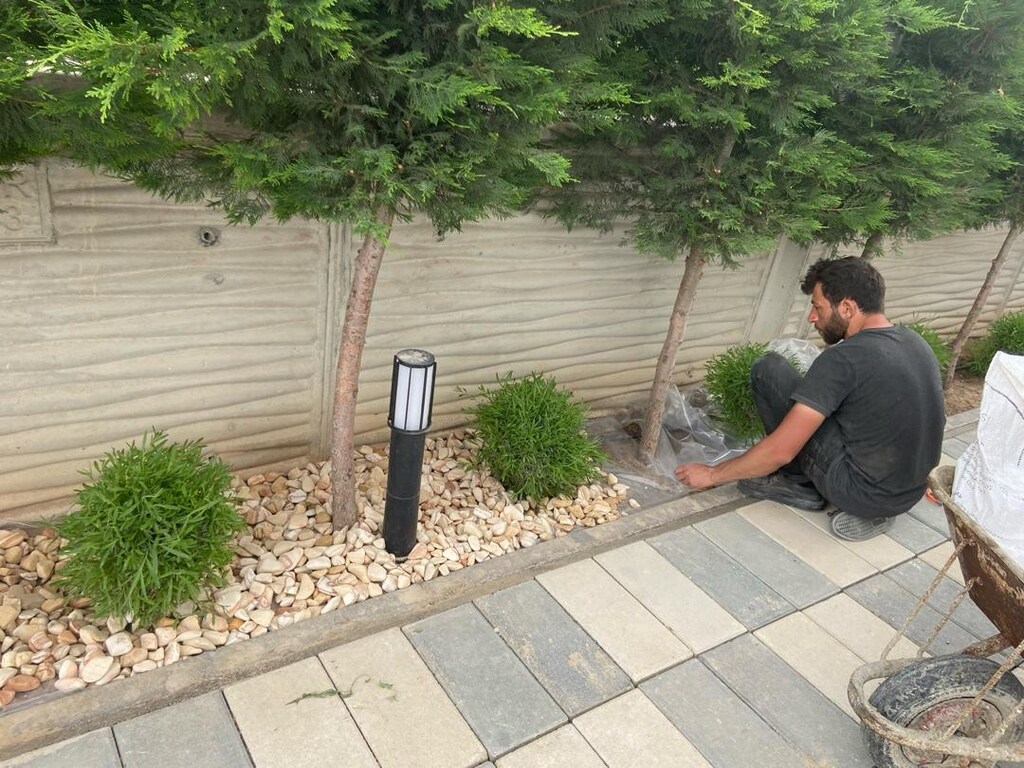 ağaç ilaçlama Peysaj - 2