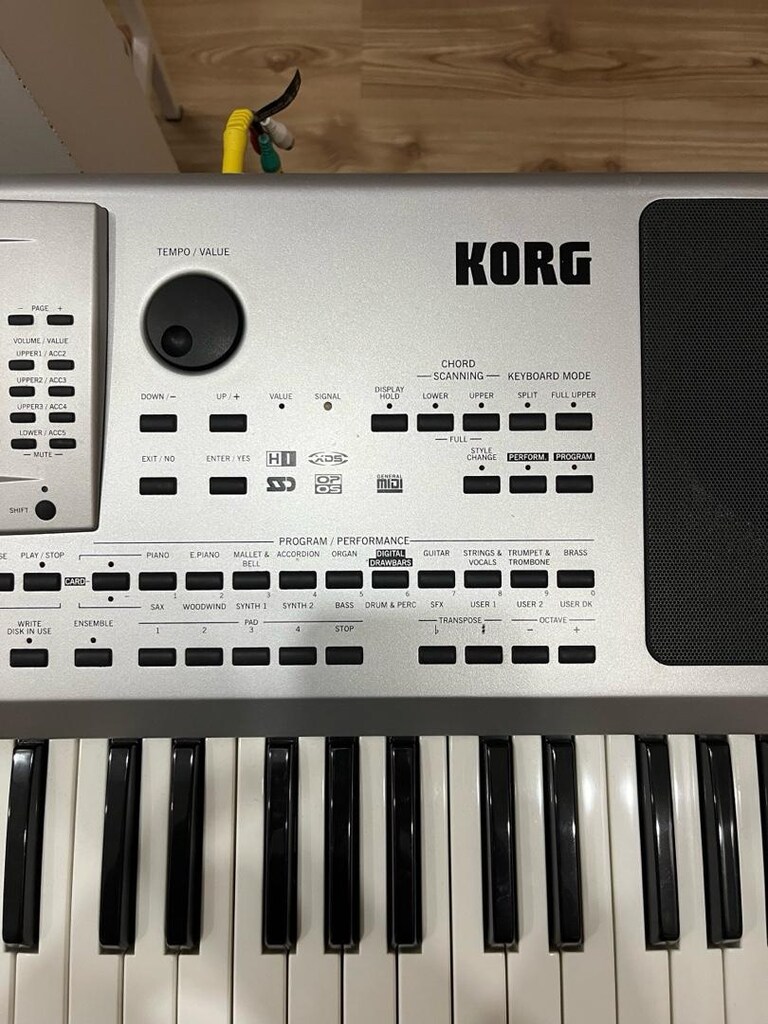 Korg Pa80 - 3