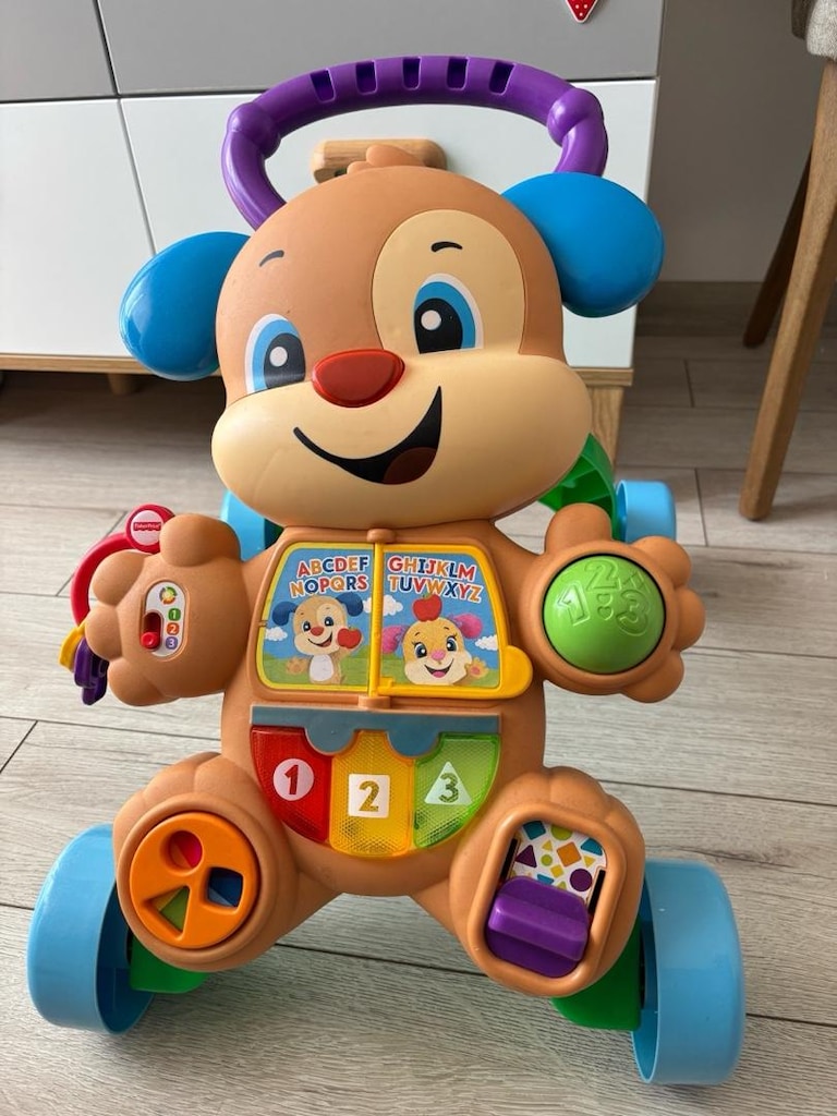 Fisher Price Yürüme Arkadaşı - 2