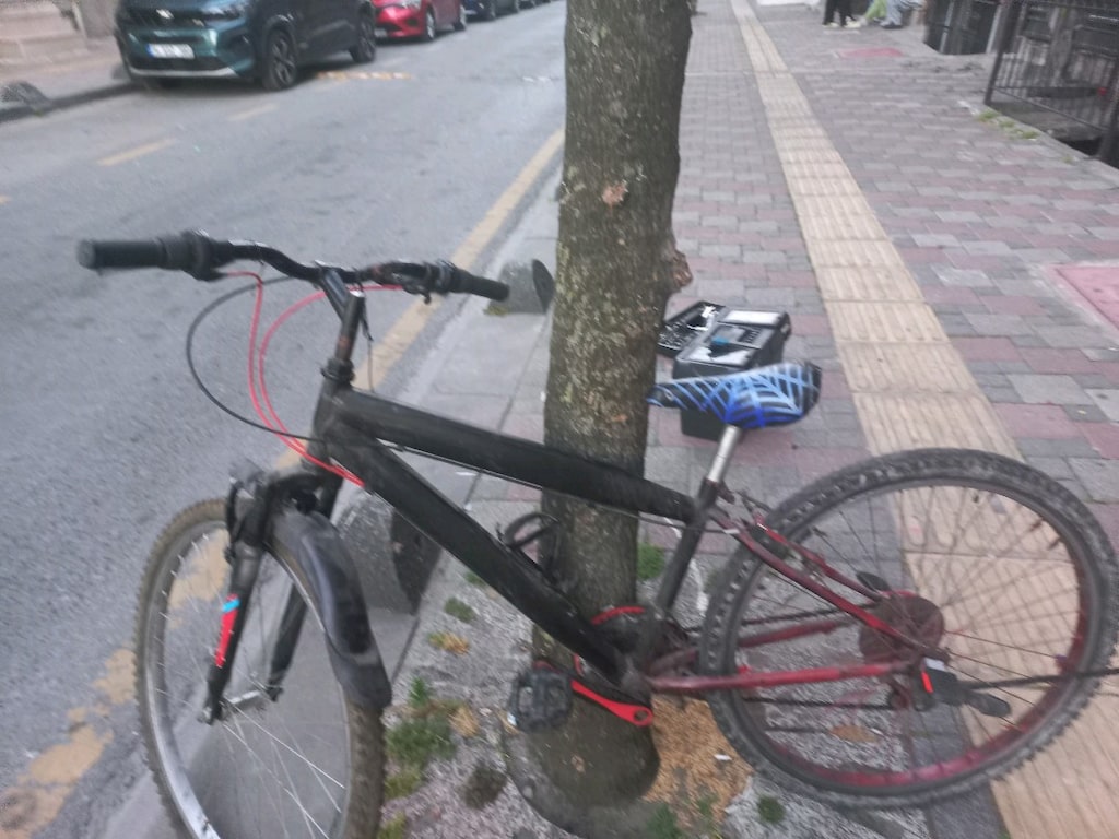 26 cant bisiklet - 6