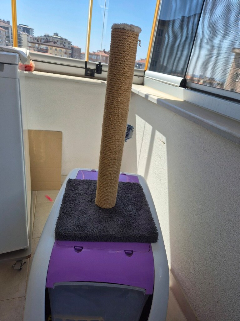 kedi için tam set - 6