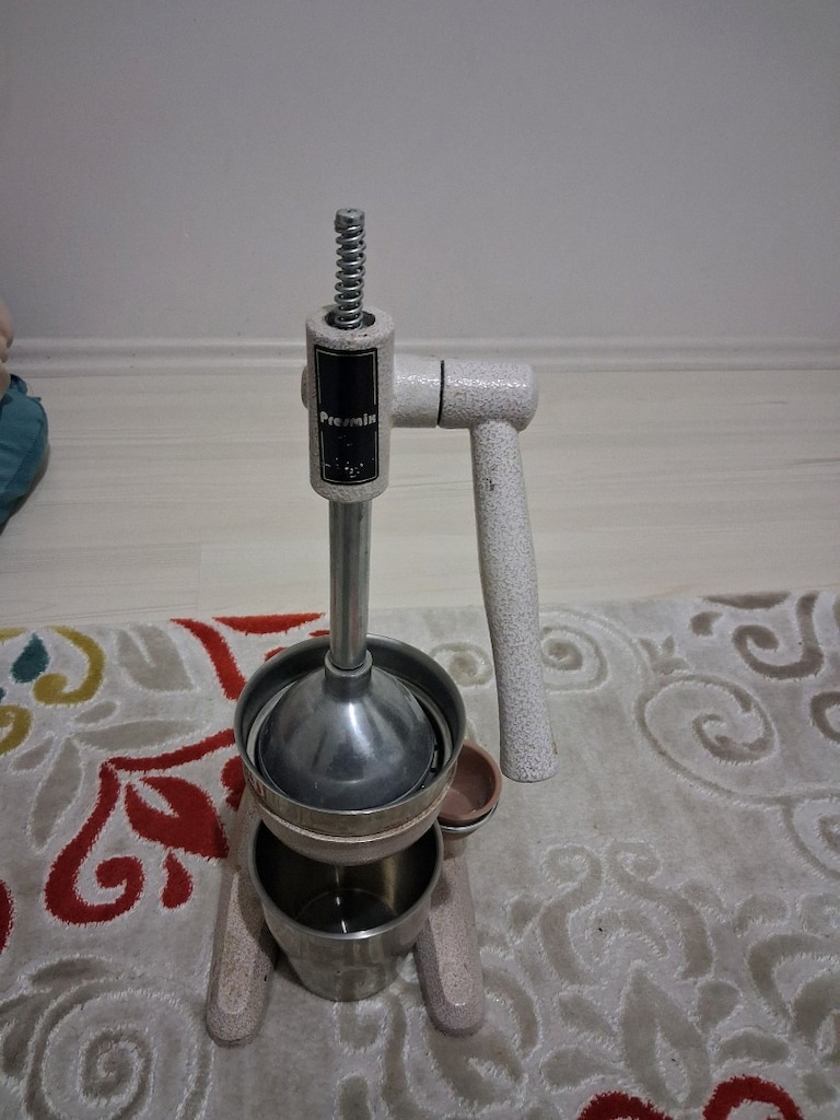 katı meyve sıkacağı - 2