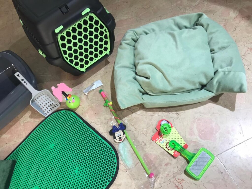 Kedi tuvalet ve bakım seti - 2